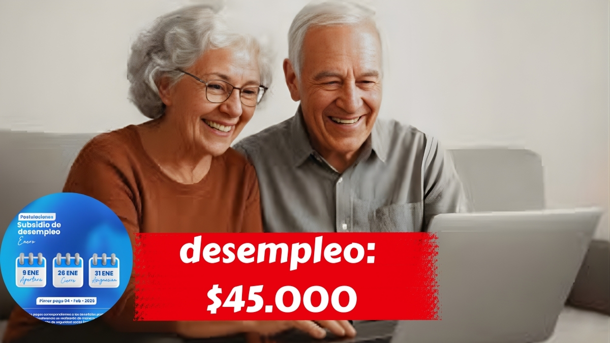 Subsidio de desempleo: $45.000 en enero, requisitos y trámite online