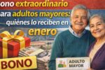 Bono extraordinario para adultos mayores: quiénes lo reciben en enero